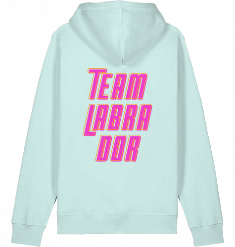 hoodie | team labrador | poppy pink