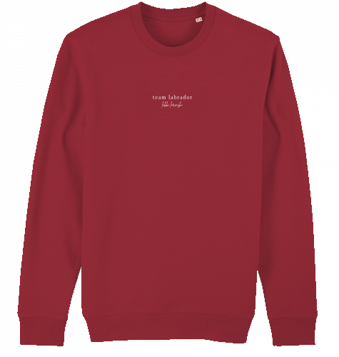 sweater | team labrador | dark