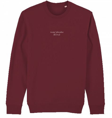 sweater | team labrador | dark