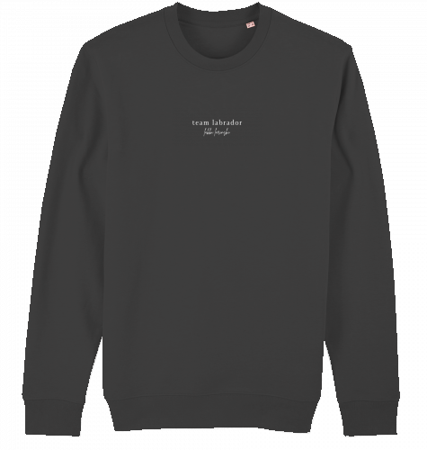 sweater | team labrador | dark