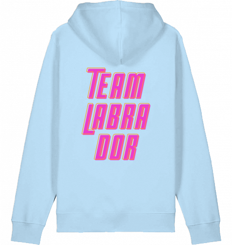 hoodie | team labrador | poppy pink