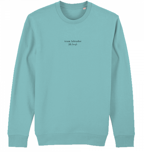 sweater | team labrador