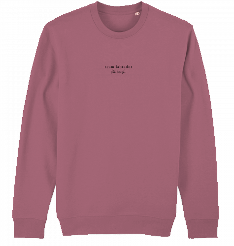 sweater | team labrador