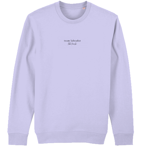 sweater | team labrador