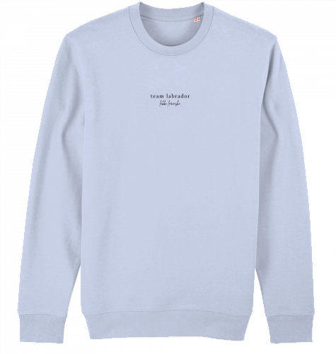 sweater | team labrador