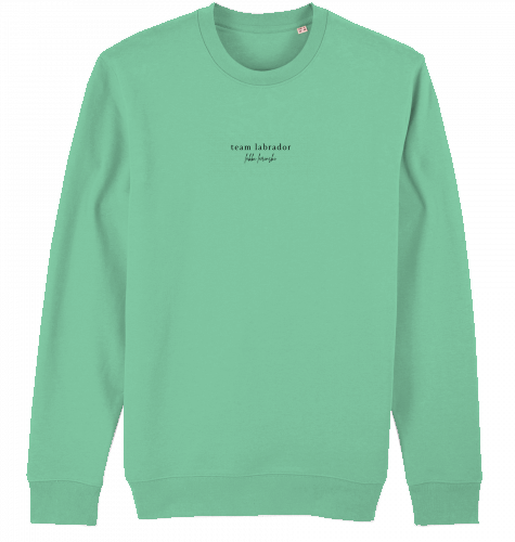 sweater | team labrador