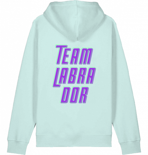 hoodie | team labrador | poppy purple