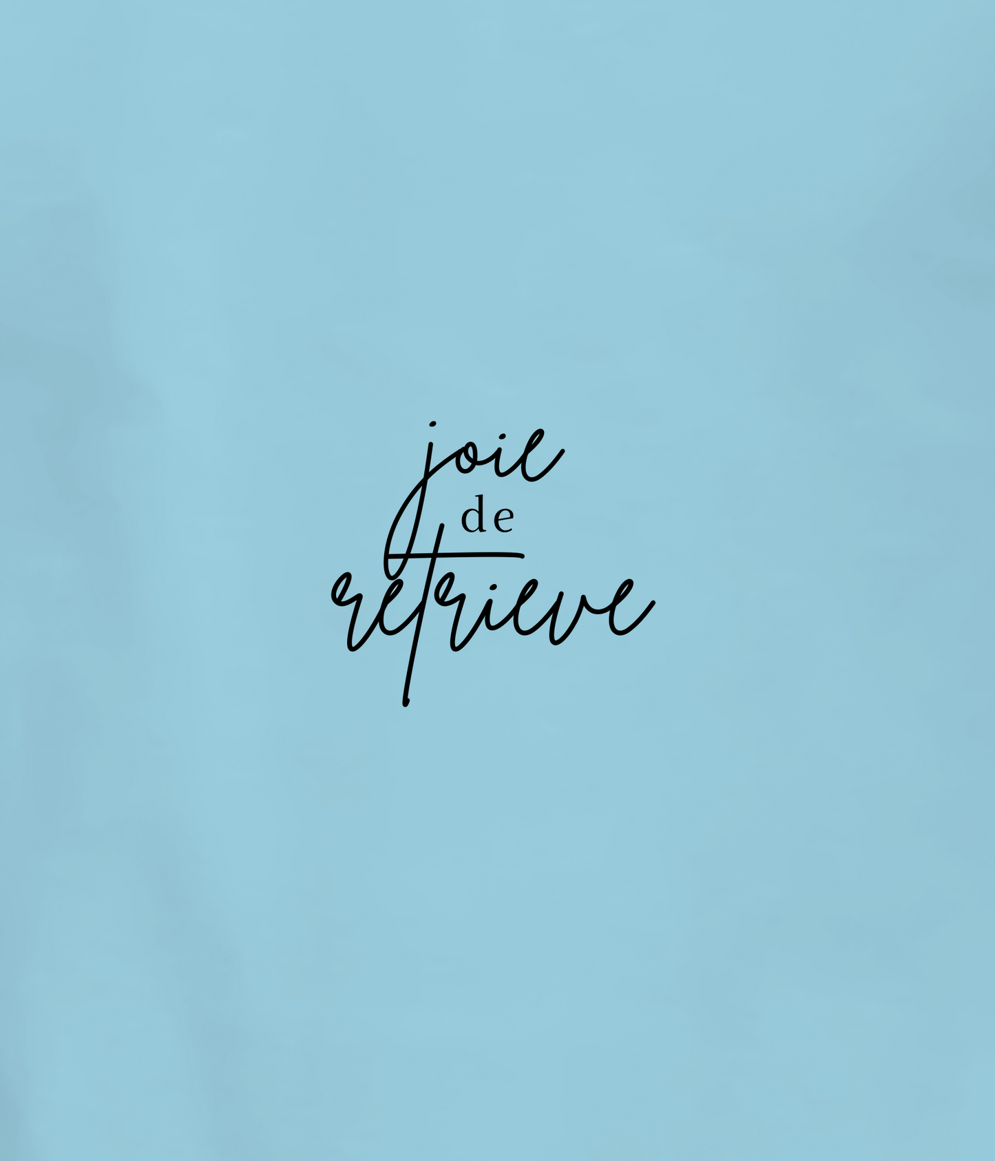 hoodie | joie de retrieve