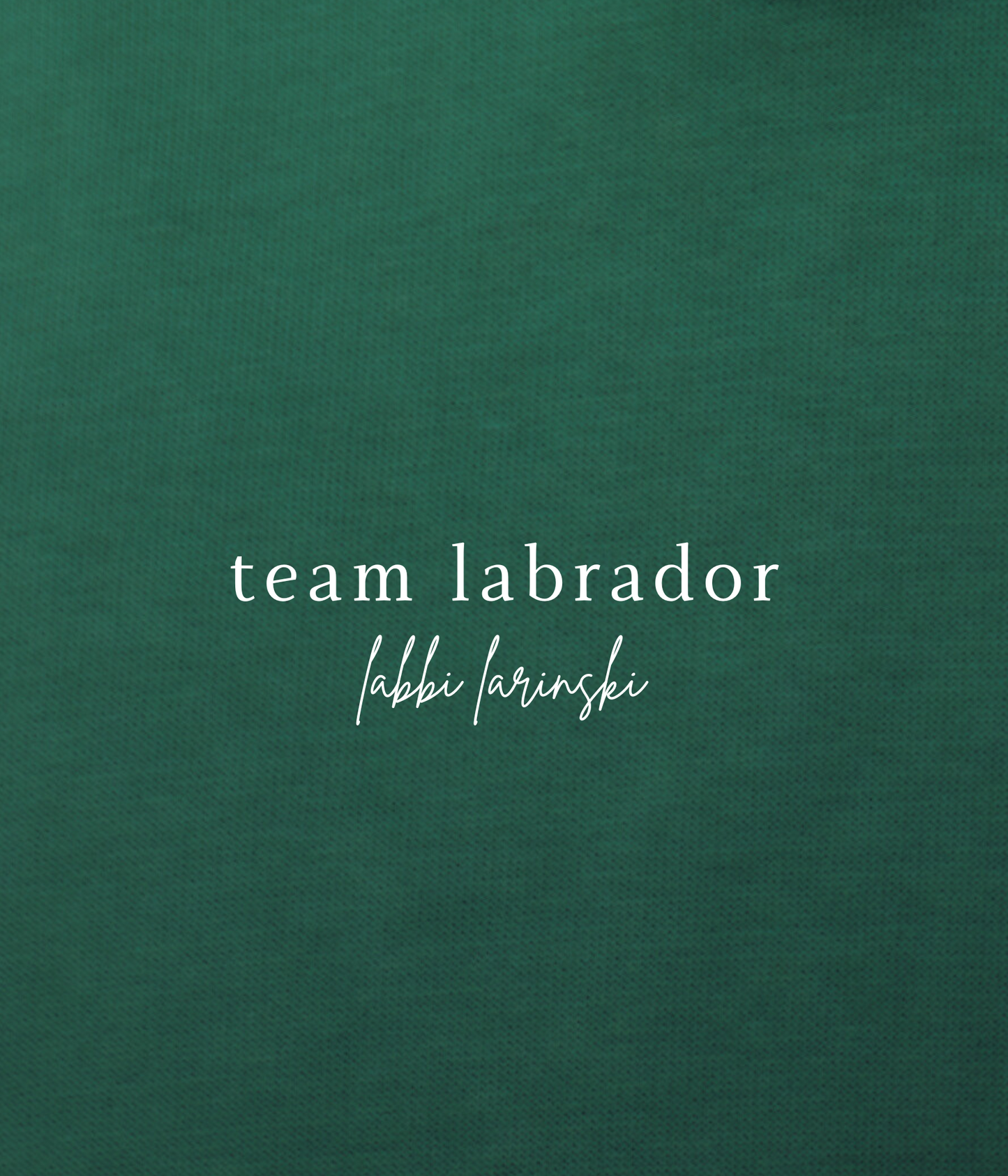 hoodie | team labrador | dark